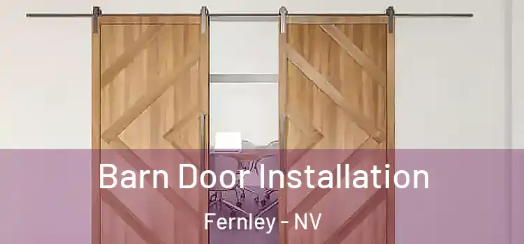  Barn Door Installation Fernley - NV