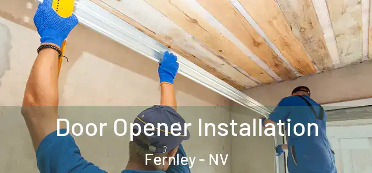  Door Opener Installation Fernley - NV