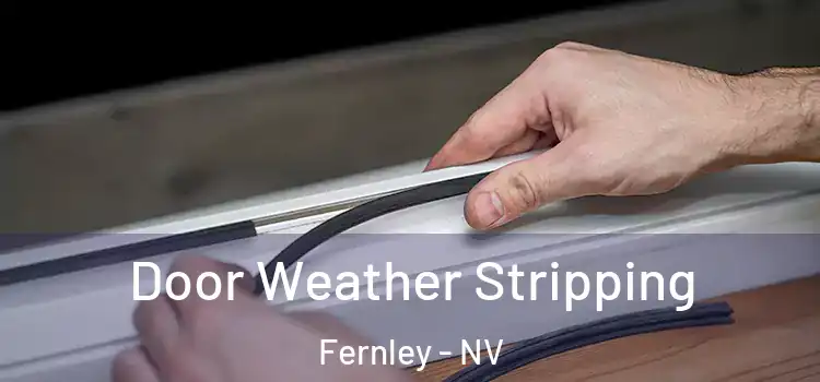  Door Weather Stripping Fernley - NV