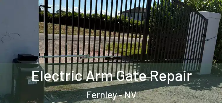  Electric Arm Gate Repair Fernley - NV