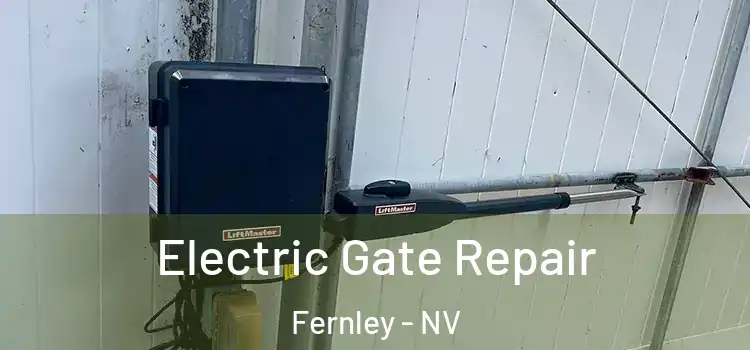  Electric Gate Repair Fernley - NV
