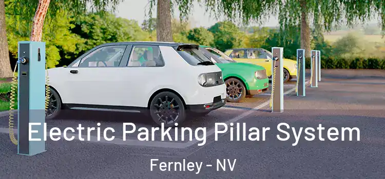  Electric Parking Pillar System Fernley - NV
