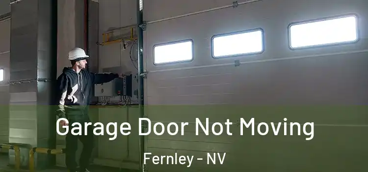  Garage Door Not Moving Fernley - NV