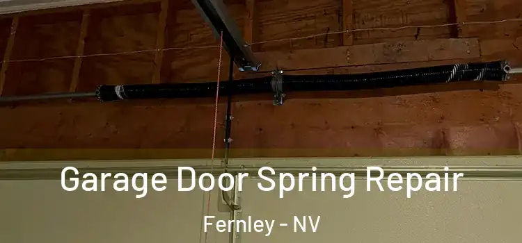  Garage Door Spring Repair Fernley - NV