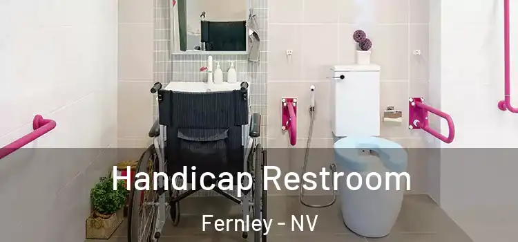  Handicap Restroom Fernley - NV