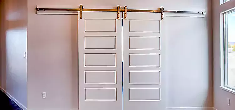 Glass Barn Door with Installation Hardware Kit Fernley