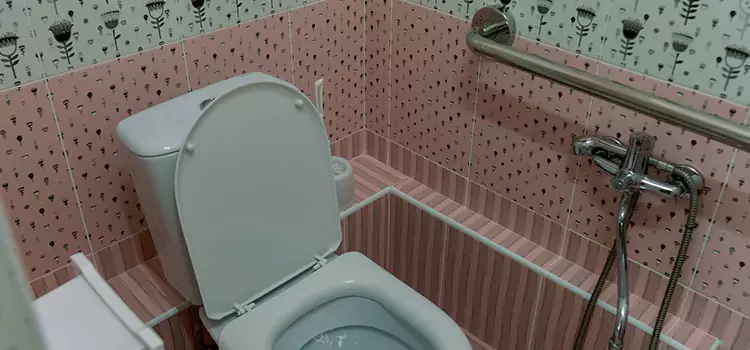 Meeting Diverse Needs With Accessible Restroom Solutions in Fernley, NV