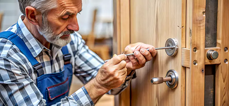 Mortise Replacement Lock Fernley