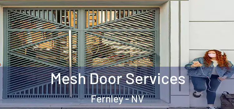  Mesh Door Services Fernley - NV