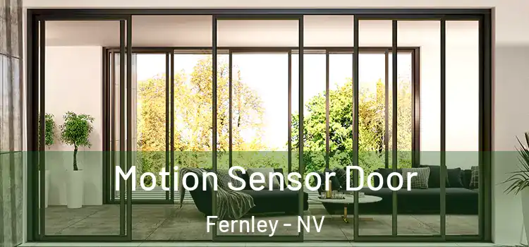  Motion Sensor Door Fernley - NV