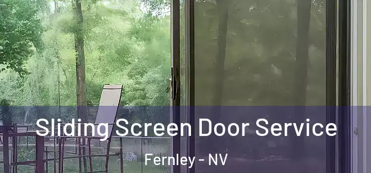  Sliding Screen Door Service Fernley - NV